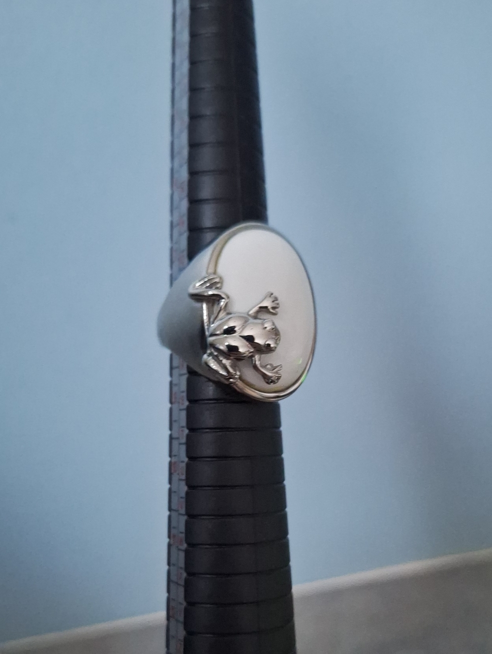 LIRN Silver Frog Signet Stainless Steel Ring - Silver Tone With White Stone